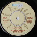 Manfred Mann's Earth Band-California / Chicago