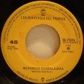 Los Perversos Del Tropico-Rosario / Merengue Guadalajara