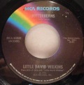 Little David Wilkins-Butterbeans / Whoever Turned You On, Forgot To Turn You Off