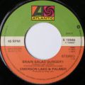 Emerson Lake & Palmer-Fanfare for the common man