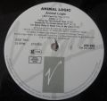 Animal Logic-Animal Logic