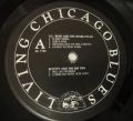 A.C. Reed And The Spark plugs, Scotty And The Rib Tips, Lovie Lee & Carey Bell-LIVING CHICAGO BLUES Vol. 4