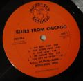 Barry Goldberg, Harvey Mandel and Charlie Musselwhite-Blues From Chicago