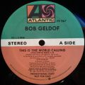 Bob Geldof-This Is The World Calling