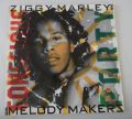 Ziggy Marley and The Melody Makers-Conscious Party