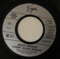 Ziggy Marley and The Melody Makers-Kozmik