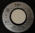 Ziggy Marley and The Melody Makers-Kozmik