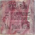 Pearls For Swains-Rough Ruin / New Dawn Roses