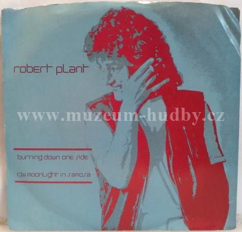Robert Plant