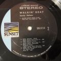 Sandy Nelson-Walkin' Beat!