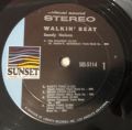 Sandy Nelson-Walkin' Beat!