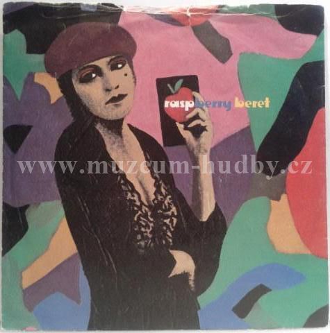 Prince And The Revolution