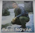 Pavel Novák-Strýček Jan / Ona se mi toulá