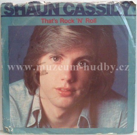 Shaun Cassidy