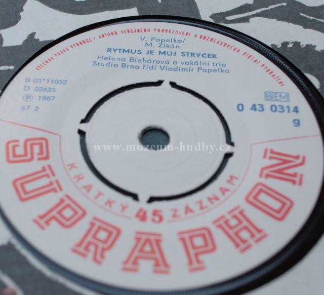 Helena Blehárová a vokální trio