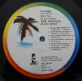 Triffids-The Black Swan