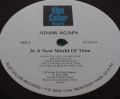 Adam Again-In a New World of Time 