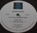 Adam Again-In a New World of Time 
