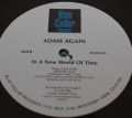 Adam Again-In a New World of Time 