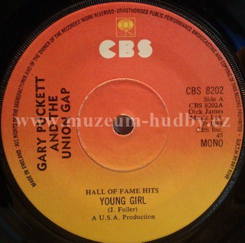 Gary Puckett And The Union Gap 