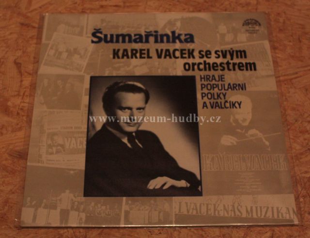 Karel Vacek