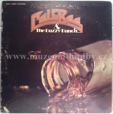 Celi Bee & The Buzzy Bunch