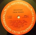 Mountain-Twin Peaks