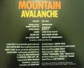 Mountain-Avalanche