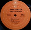 David Sancious-Forest Of Feelings