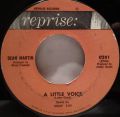 Dean Martin-Everybody Loves Somebody / A Little Voice