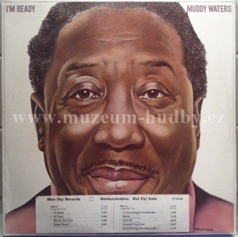 Muddy Waters