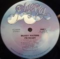 Muddy Waters-I'm Ready