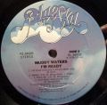 Muddy Waters-I'm Ready