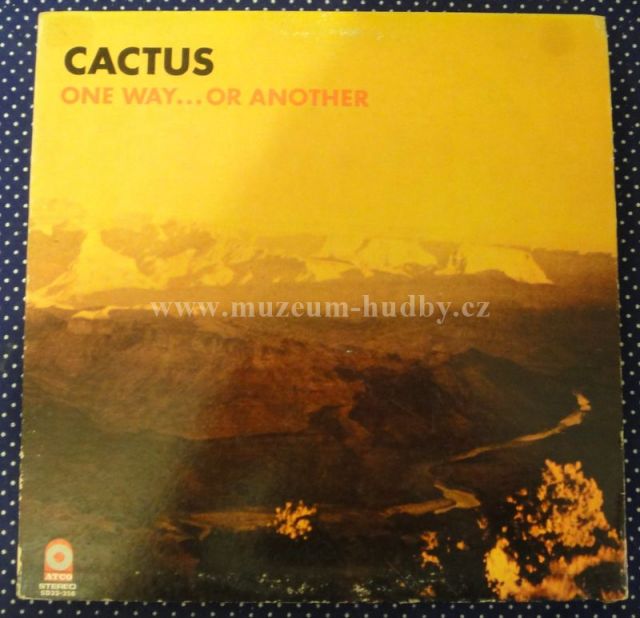 Cactus