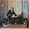 Brian Setzer-Live Nude Guitars