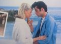 John Travolta & Olivia Newton-John ,Frankie Valli,Sha-Na-Na,Cindy Bullens,Frankie Avalon-Grease