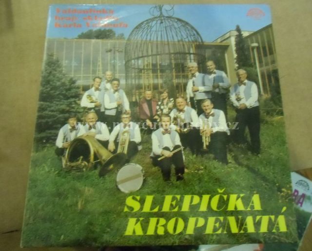 Valdaufinka hraje skladby Karla Valdaufa