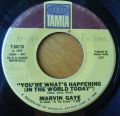 Marvin Gaye-I Heard It Through the Grapevine / You're What's Happening (In the World Today)