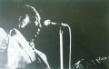 Muddy Waters-Fathers And Sons