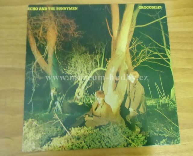Echo And The Bunnymen