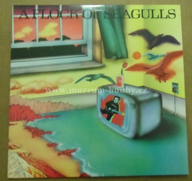 A Flock Of Seagulls