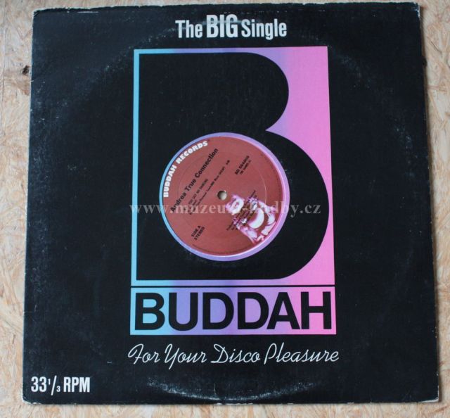 Andrea True Connection Disco