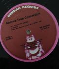 Andrea True Connection Disco-Record NY Got Me Dancing