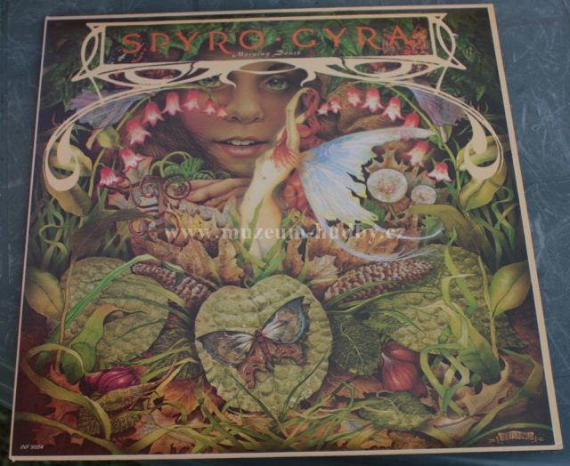 Spyro Gyra