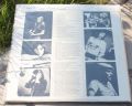 Steely Dan-Kate Lied