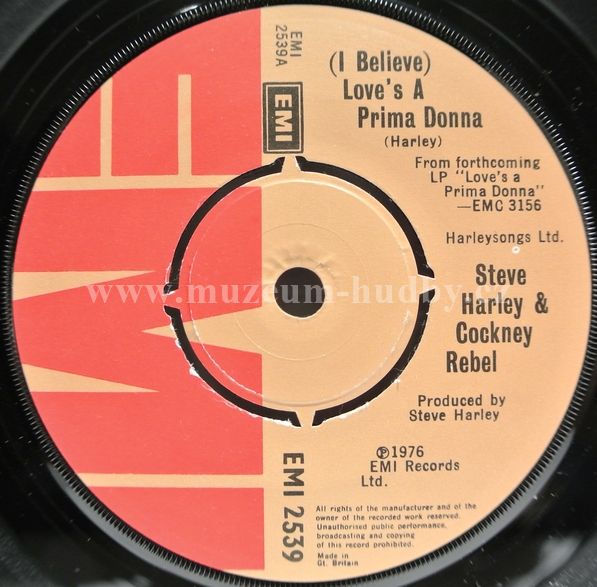 Steve Harley & Cockney Rebel