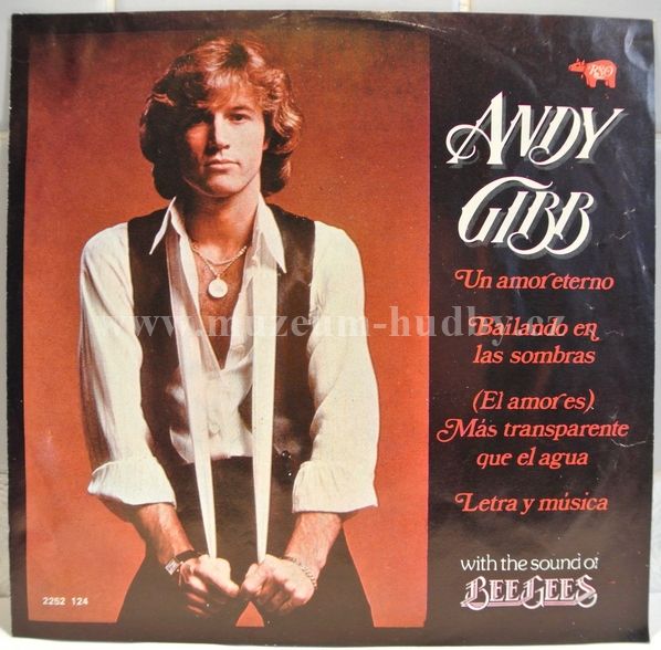 Andy Gibb