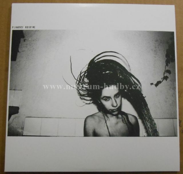PJ Harvey