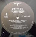 Sweet-Sweet 2th - The Wigwam-Willy Mix