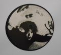 Cure-Visions Of Domino-LIVE/STUDIO RECORDINGS